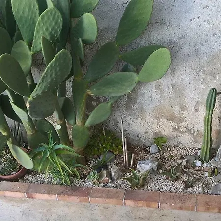 La Cappera Apartamento
